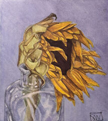Withering Sunflower